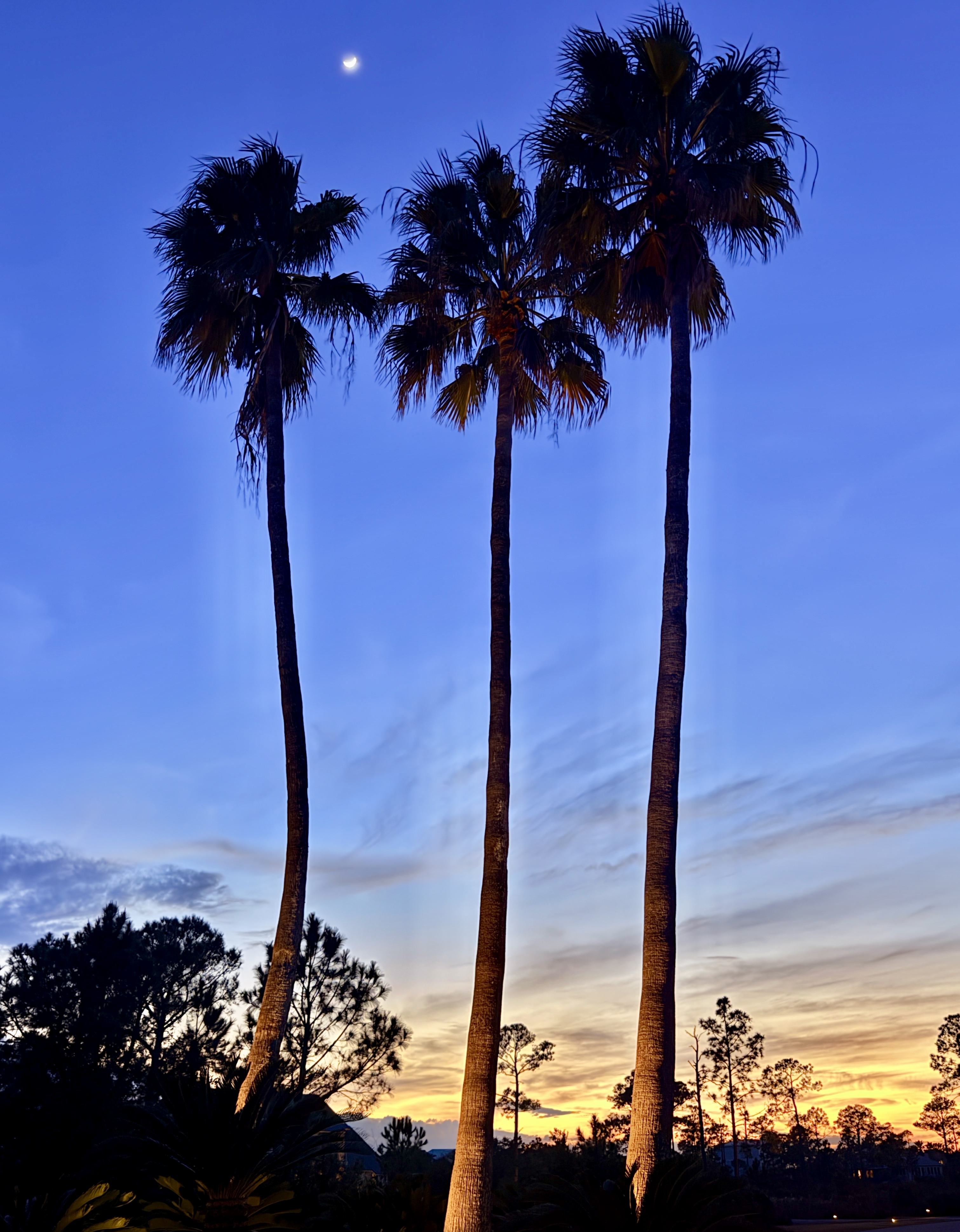 Waterfront Lots and Vacant Land For Sale Orange Beach AL Gulf Coast